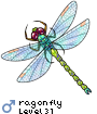 ragonfly