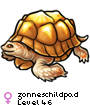 zonneschildpad