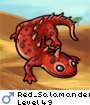 Red_Salamander
