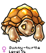 Sunny-turtle