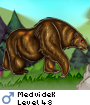 Medvidek