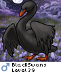 BlackSwans