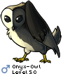 Onyx-Owl