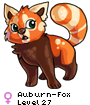 Auburn-Fox