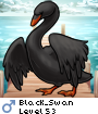 Black_Swan