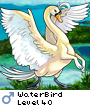 WaterBird