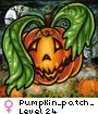 Pumpkin_patch_