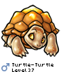 Turtle-Turtle
