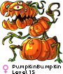 PumpkinBumpkin