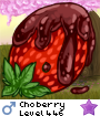 Choberry
