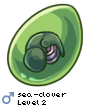 sea-clover
