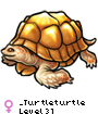 _Turtleturtle