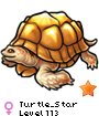 Turtle_Star