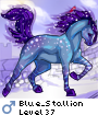 Blue_Stallion