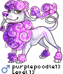 purplepoodle13