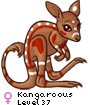 Kangaroous