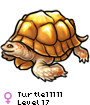 Turtle11111