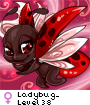 Ladybug_