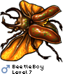 BeetleBoy