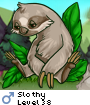 Slothy