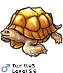 Turtle5
