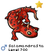 SalamandraStar
