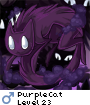 PurpleCat