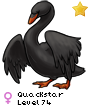 Quackstar