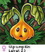 lilpumpkin