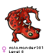 salamander381