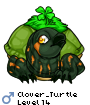 Clover_Turtle