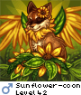 Sunflower-coon