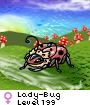 Lady-Bug