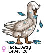 Nice_Birdy