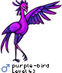 purple-bird