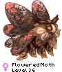 FloweredMoth