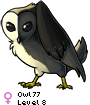 Owl77