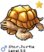 Star_Turtle
