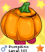 Pumpkino