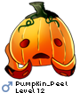 Pumpkin_Peel