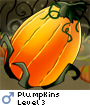 Plumpkins