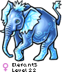 Elefant5