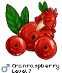 Cranraspberry