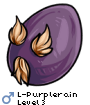 L-Purplerain