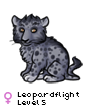 Leopardflight