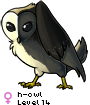 h-owl