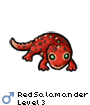 RedSalamander