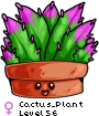 Cactus_Plant