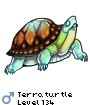 Terraturtle