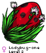Ladybug-one